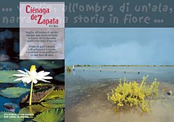 La Cienaga de Zapata  - 4